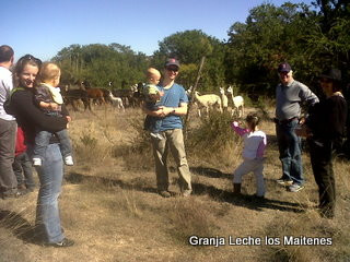 Lecheria Los Maitenes-Marchihue必去景点