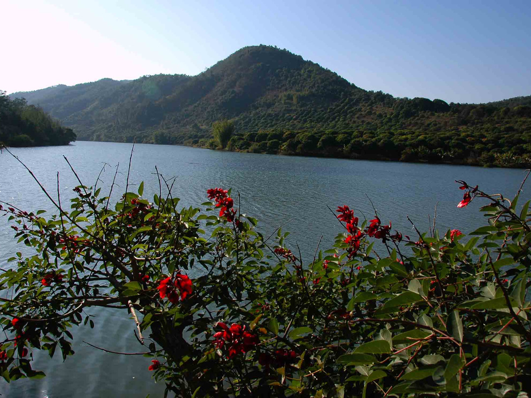 流溪河森林公园-从化市必去景点