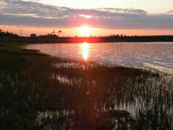 Jubilee Cottage Inn主图