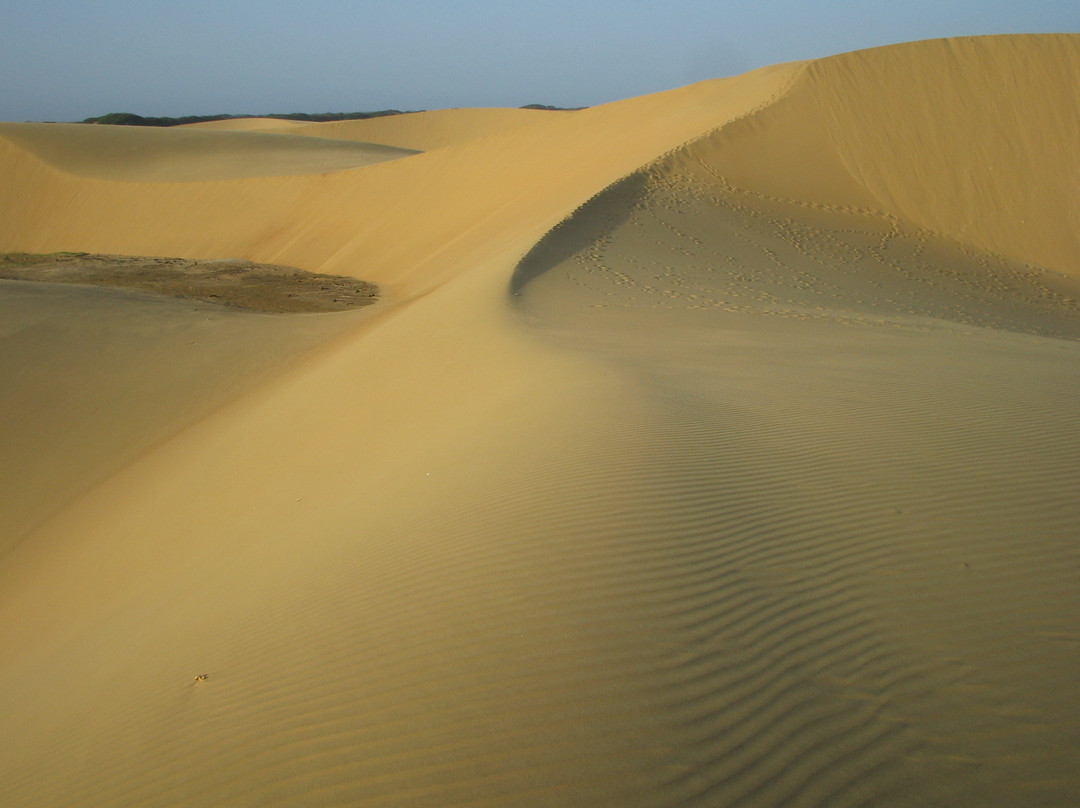 Médanos de Coro National Park景点图片