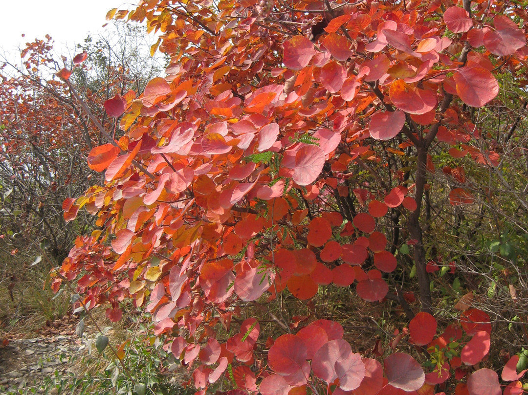 博爱青天河风景区-博爱县必去景点