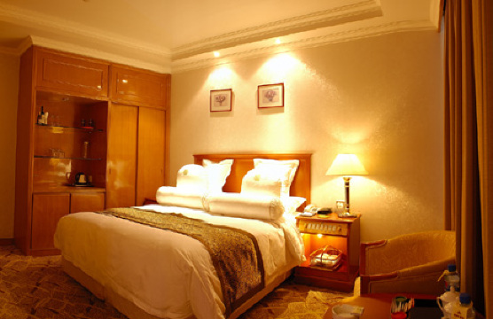 宾悦大酒店-客卧