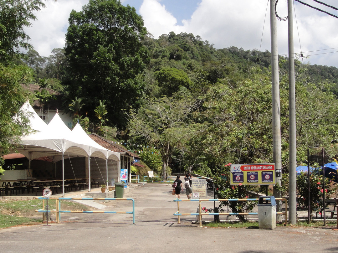 Kota Tinggi Waterfalls-哥打丁宜必去景点