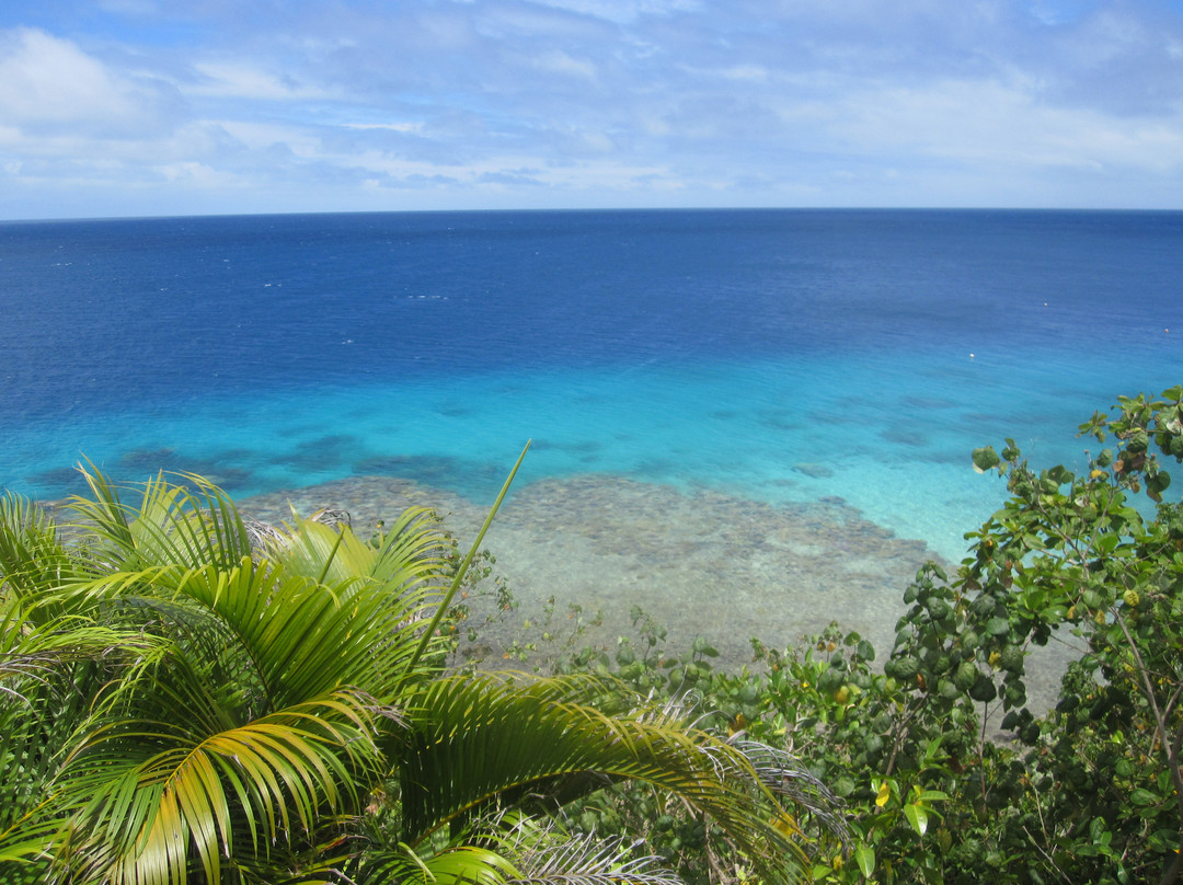 皇家达弗依岛旅游攻略图片