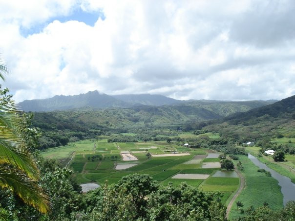 Hanalei Valley Lookout-普林斯维尔必去景点