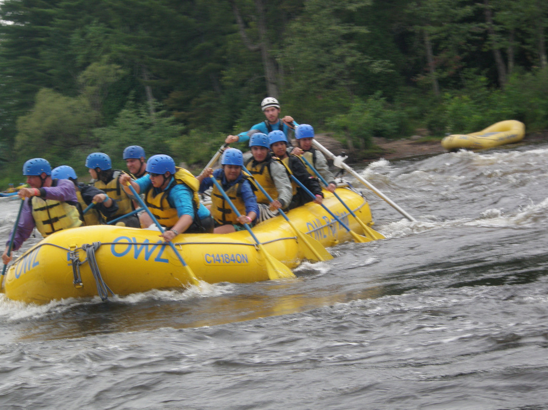 OWL Rafting-Foresters Falls必去景点