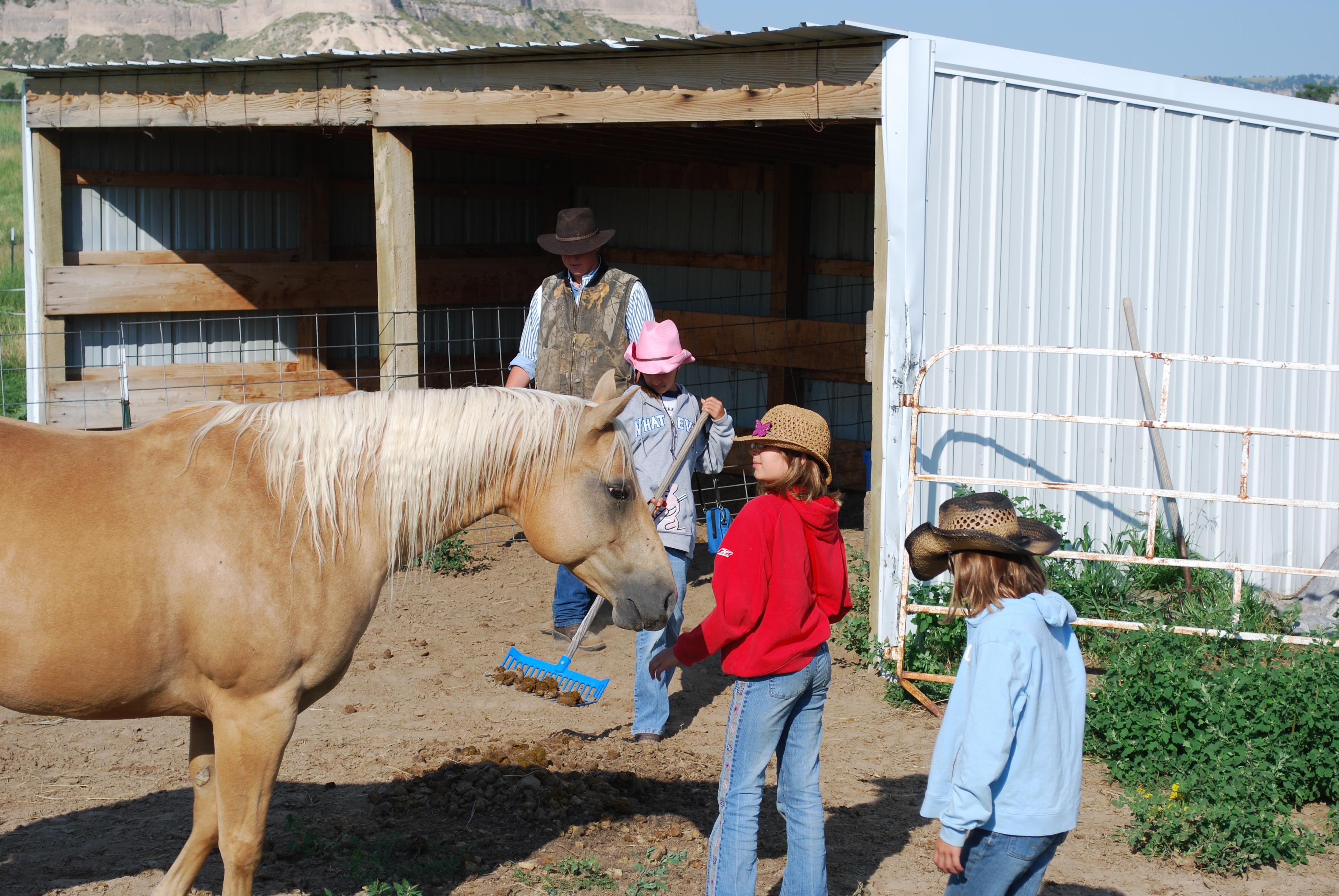 Flying Bee Ranch-客卧