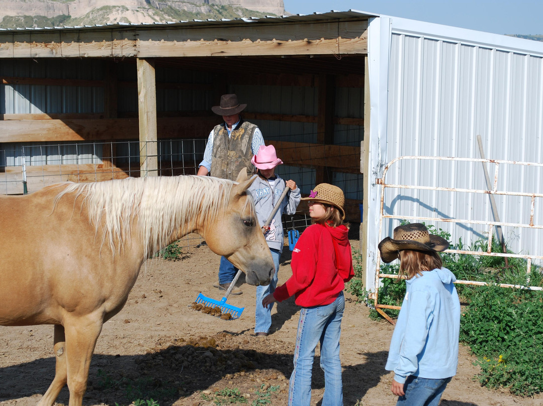 Flying Bee Ranch主图