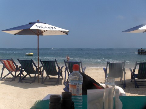 Playa Las Animas-Cabo Corrientes必去景点