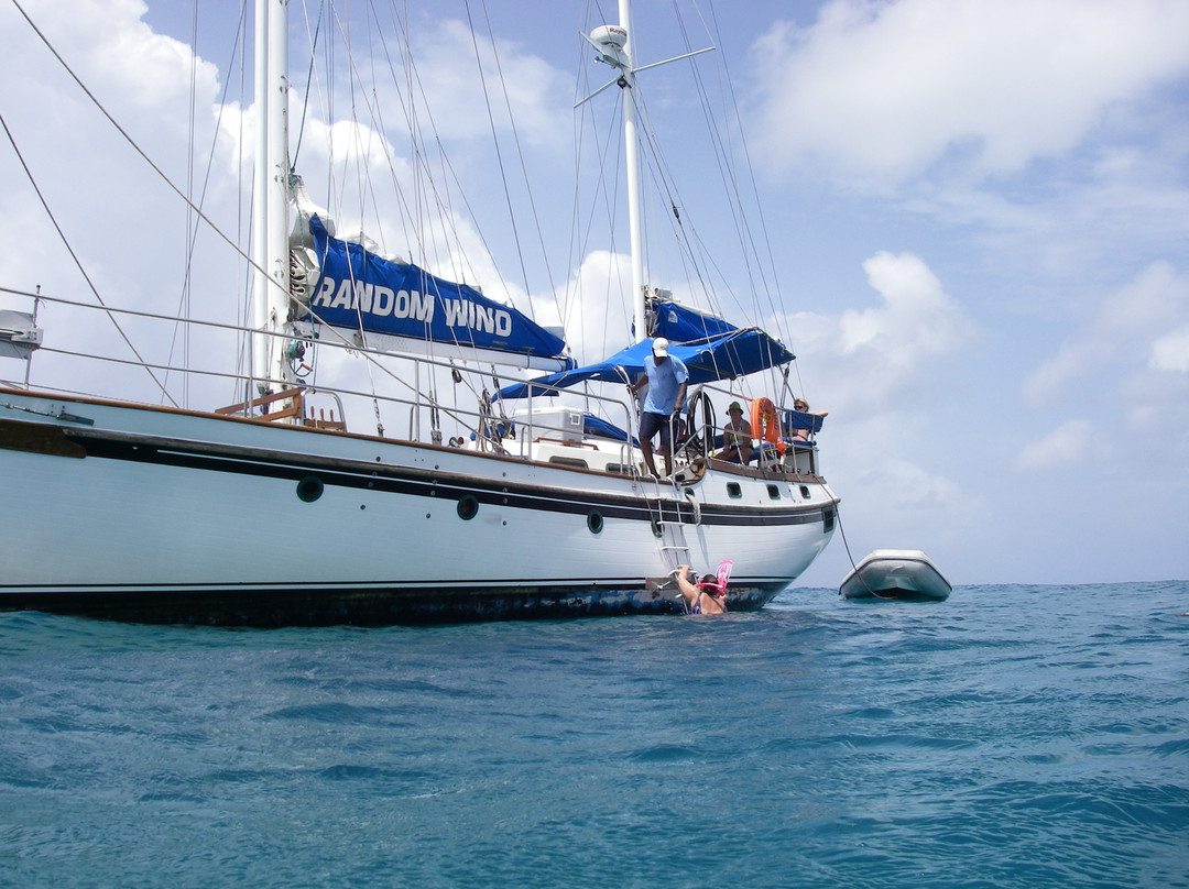 Random Wind-辛普森湾必去景点