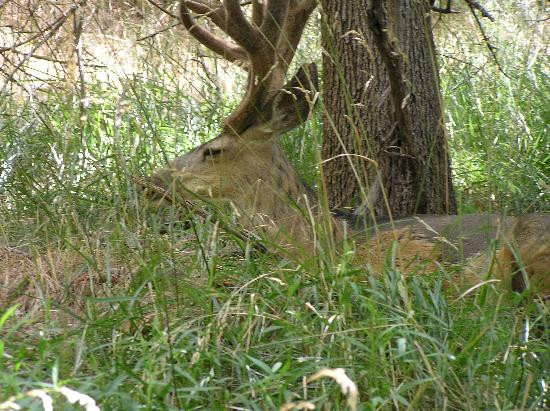 Weeping Rock Trail-锡安国家公园必去景点