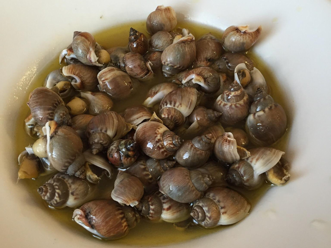 Grosso餐馆和美食-TRATTORIA AUSILIATRICE