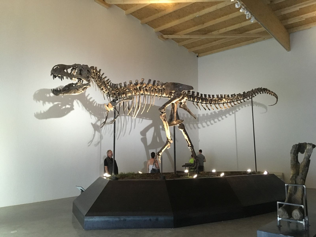 Dinosaurier Museum Altmühltal景点图片