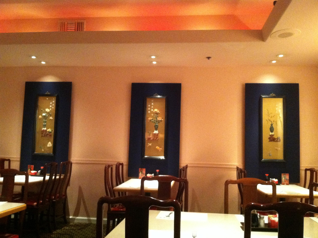 Dynasty Chinese Restaurant