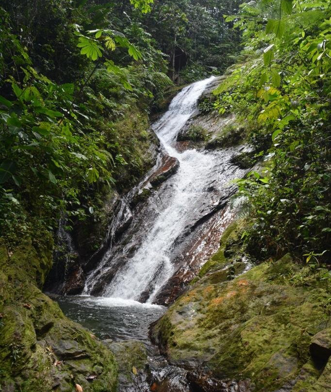 Cascadas De Las Brujas