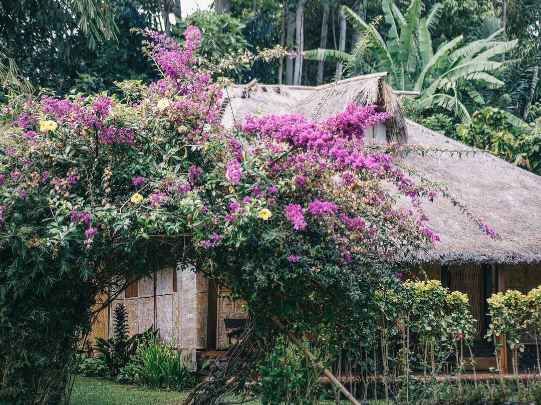 Rinjani Lighthouse Cottages主图