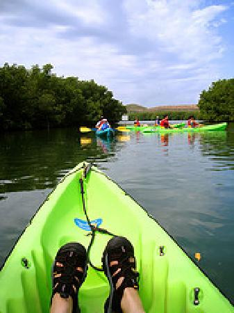 Virgin Islands Ecotours-圣 托马斯必去景点