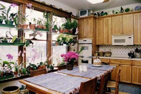 Plymouth Rock Roost主图