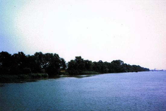 卡马格-普罗旺斯必去景点