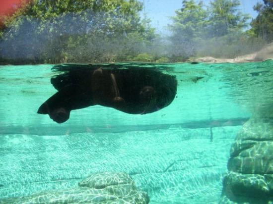 Oregon Coast Aquarium-纽波特必去景点