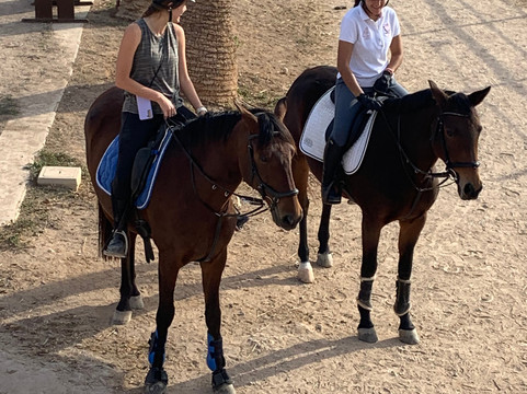 Club Hipico Es Pi-马洛卡帕尔马必去景点