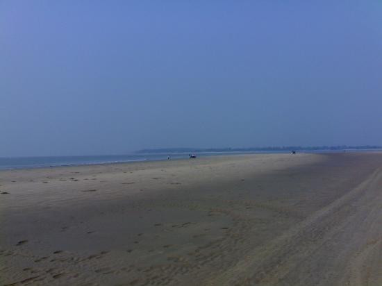 Mandarmani Beach-Mandarmani必去景点