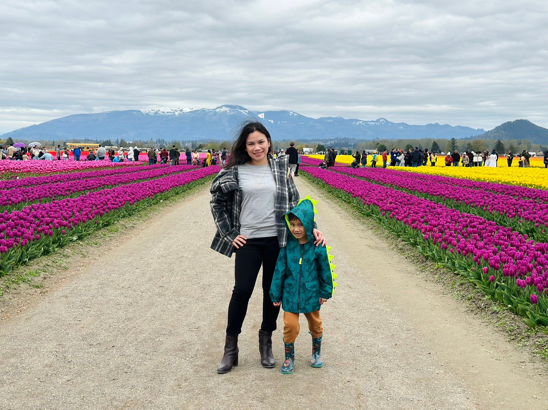 Skagit Valley Tulip Festival景点图片