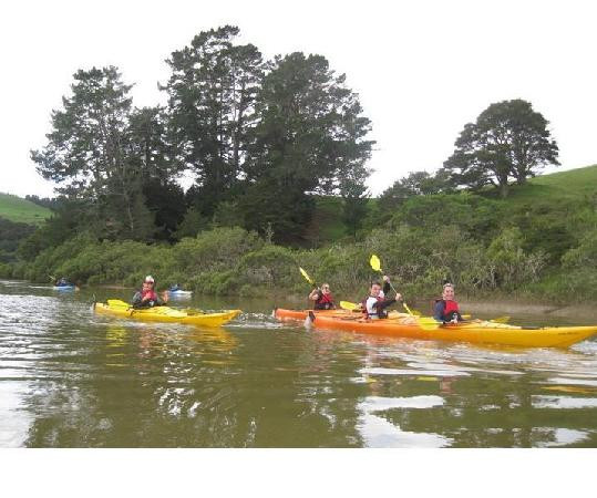 Auckland Sea Kayaks景点图片