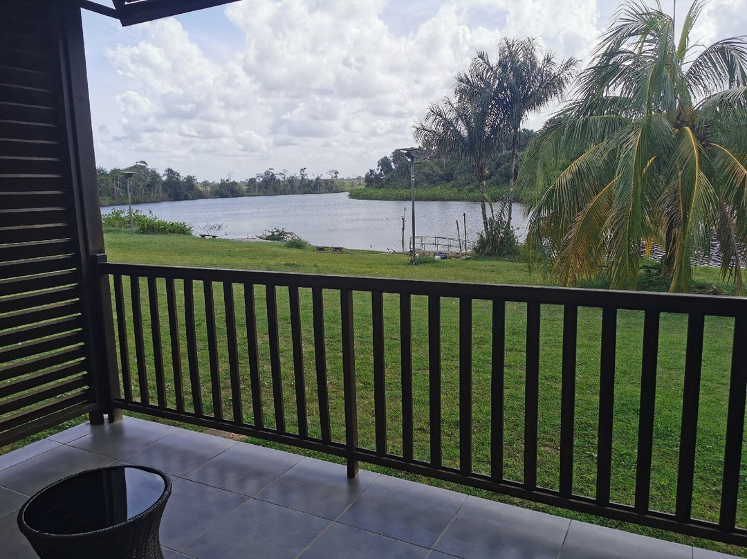 L'oiseau de Paradis主图