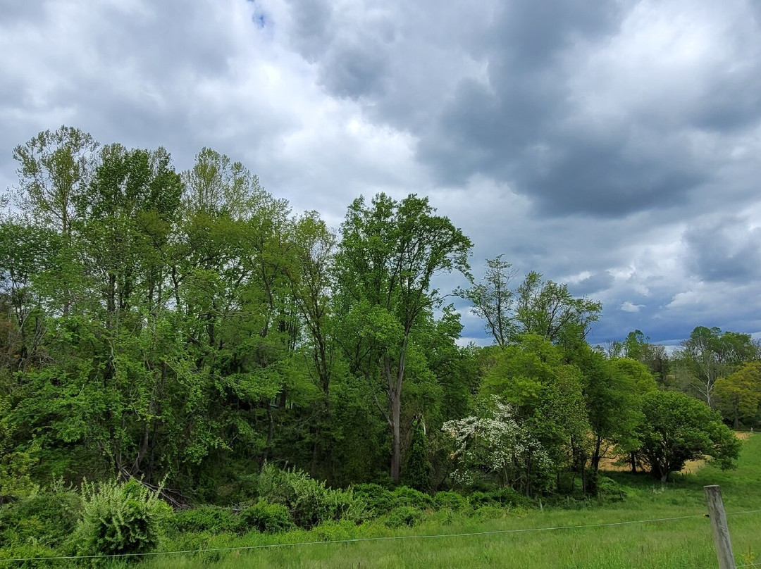Deer Creek Conservation Area-Forest Hill必去景点