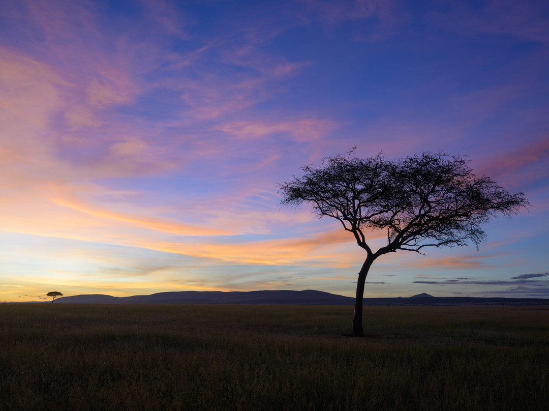 Steenbok Safaris and Car Hire-内罗毕必去景点