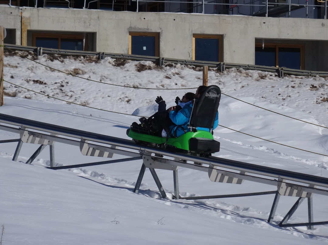 Luge 4 Saisons sur Rail景点图片
