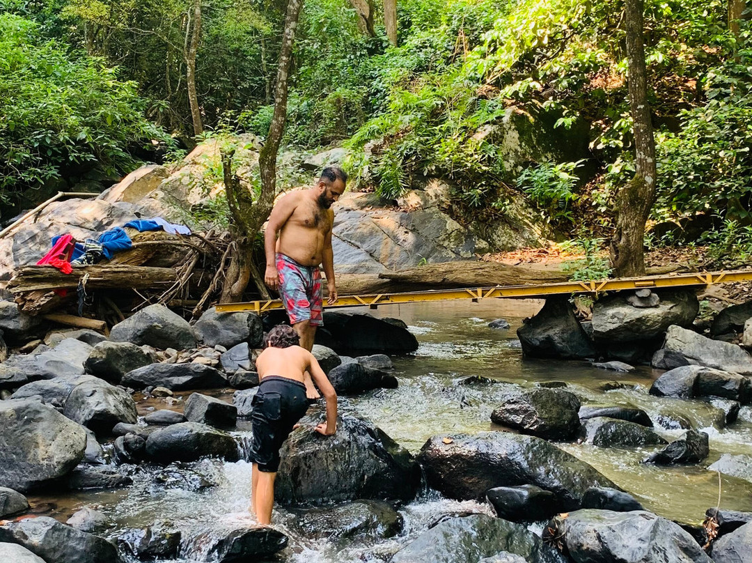 Siderbhan Homestay Chikmagalur主图