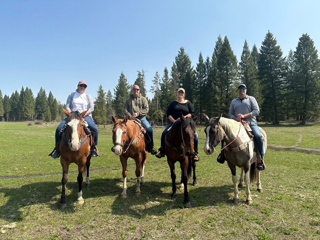 Yellowstone Horses - Eagle Ridge Ranch景点图片