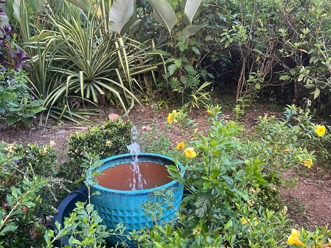 Oxygen Jungle Villas & Spa主图