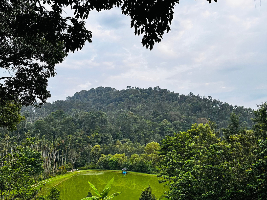 Chandramukuta Resort By Z Vacations主图
