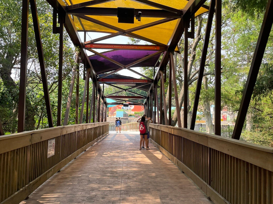 Six Flags Hurricane Harbor Oaxtepec景点图片