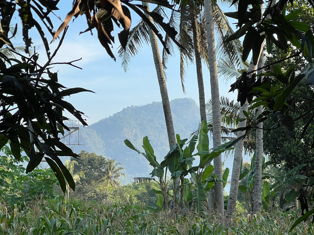 阿马塔婆罗浮屠度假村主图