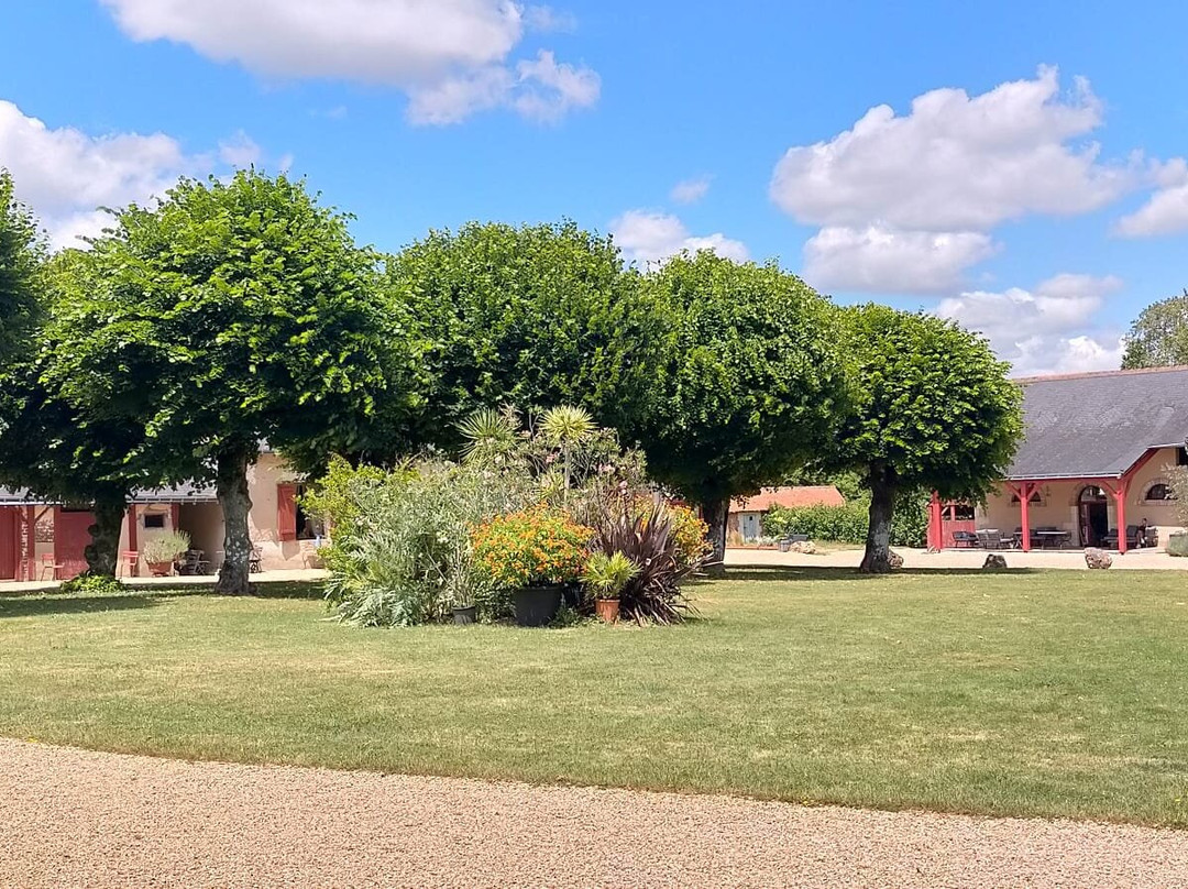 Domaine de la Bergerie主图