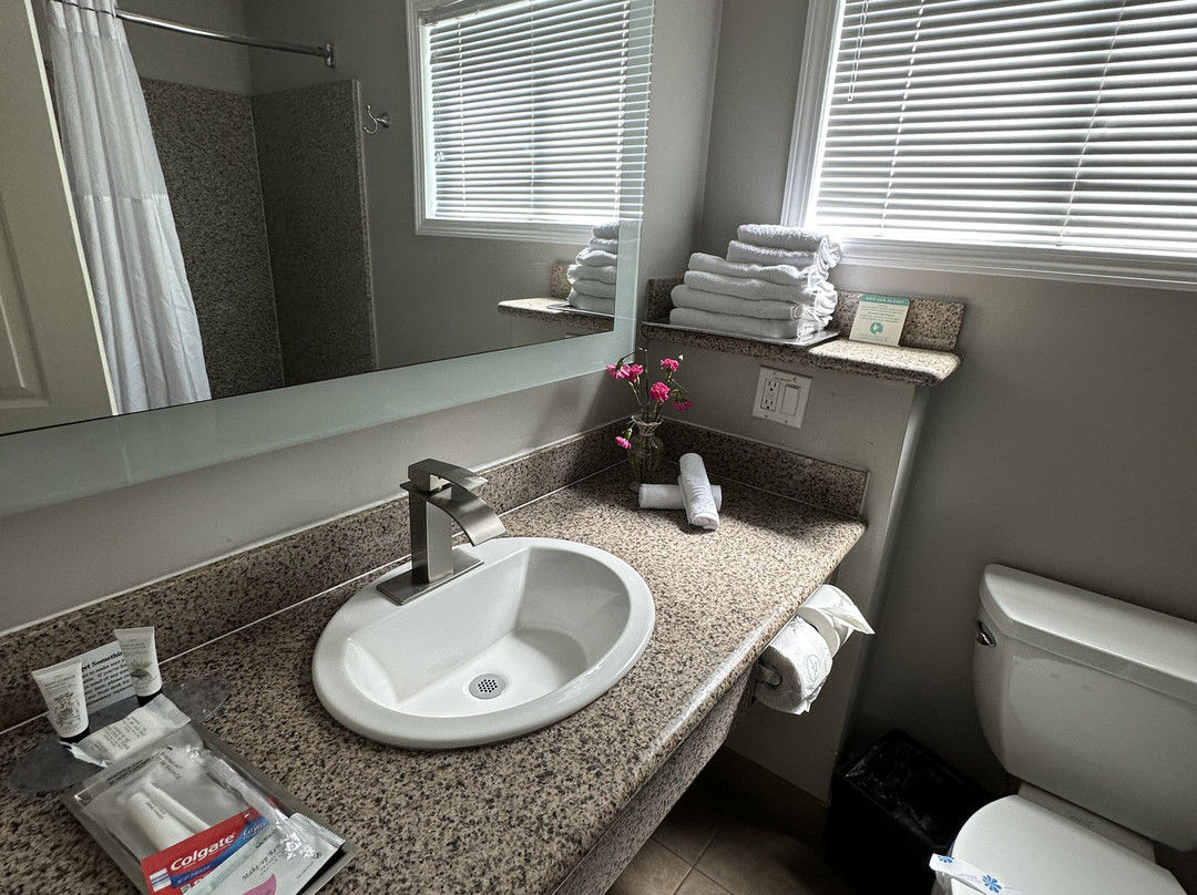 The Palo Alto Inn主图