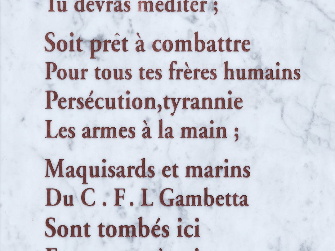 Monument aux Morts de la Résistance景点图片
