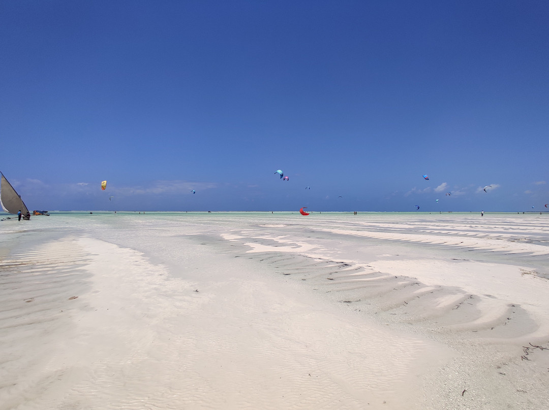 Midovic Tour Guide-桑给巴尔市必去景点