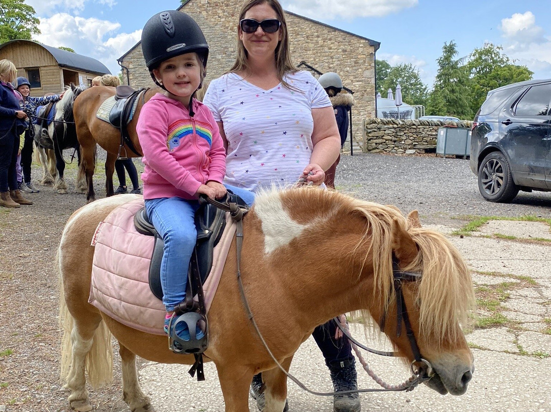 Pony Trekking Ullswater景点图片