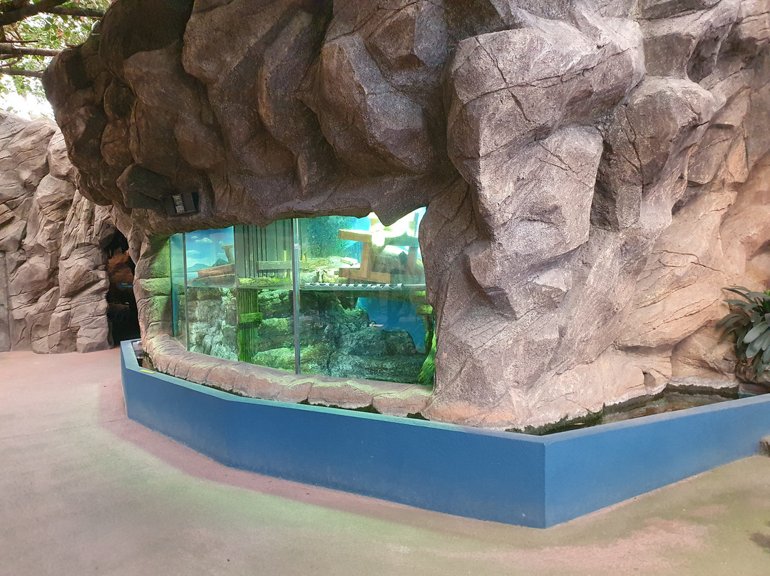 Ise Meotoiwa Interactive Aquarium (Ise Sea Paradise)-伊势市必去景点