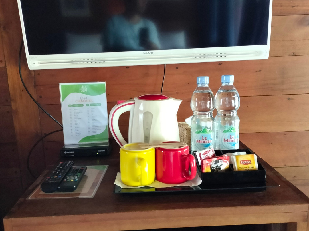 Coconut Island Carita主图