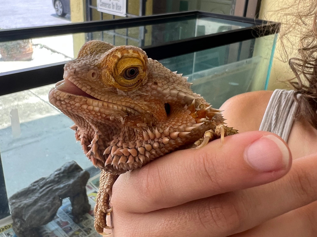 Reptile World Serpentarium-圣克劳德必去景点