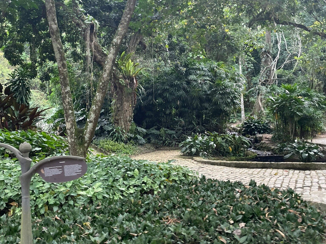 Jardim Botânico da Universidade Federal Rural do Rio de Janeiro景点图片