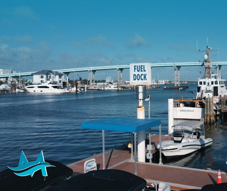 Moss Marina-迈尔斯堡海滩必去景点