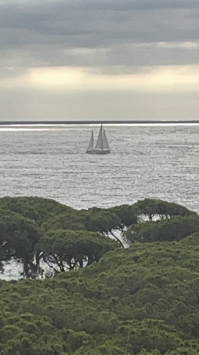 Blaucel酒店-酒店景观