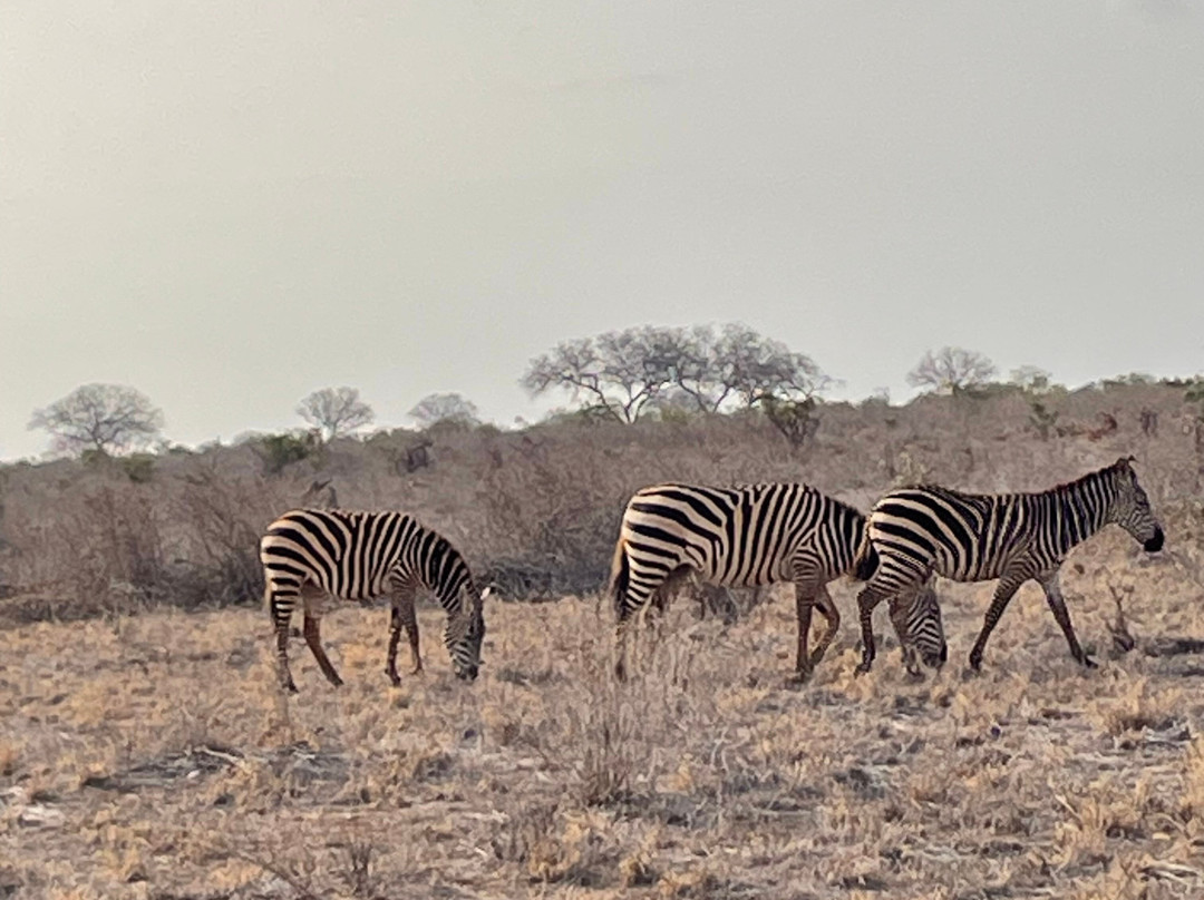 Garibaldi Safari Kenya景点图片